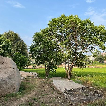Sunrise Guest House & Restaurant Hampi Εξωτερικό φωτογραφία