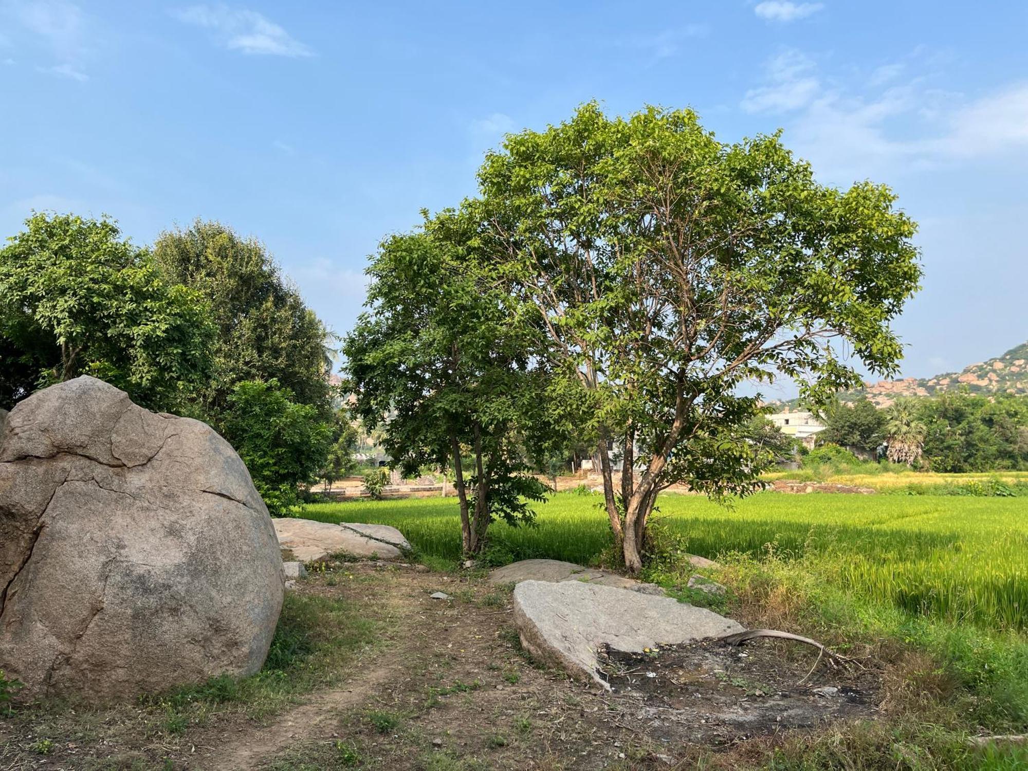 Sunrise Guest House & Restaurant Hampi Εξωτερικό φωτογραφία