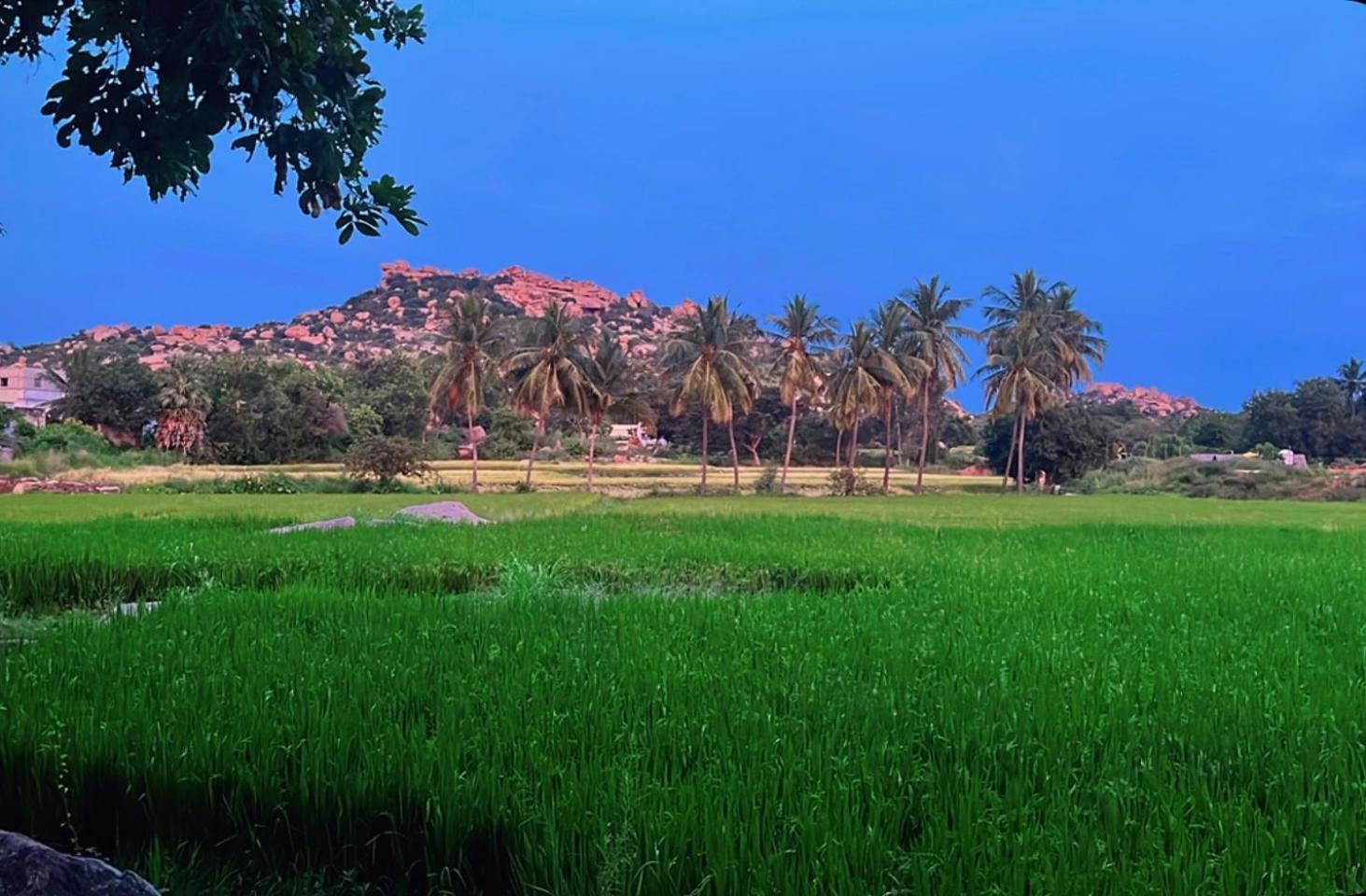 Sunrise Guest House & Restaurant Hampi Εξωτερικό φωτογραφία