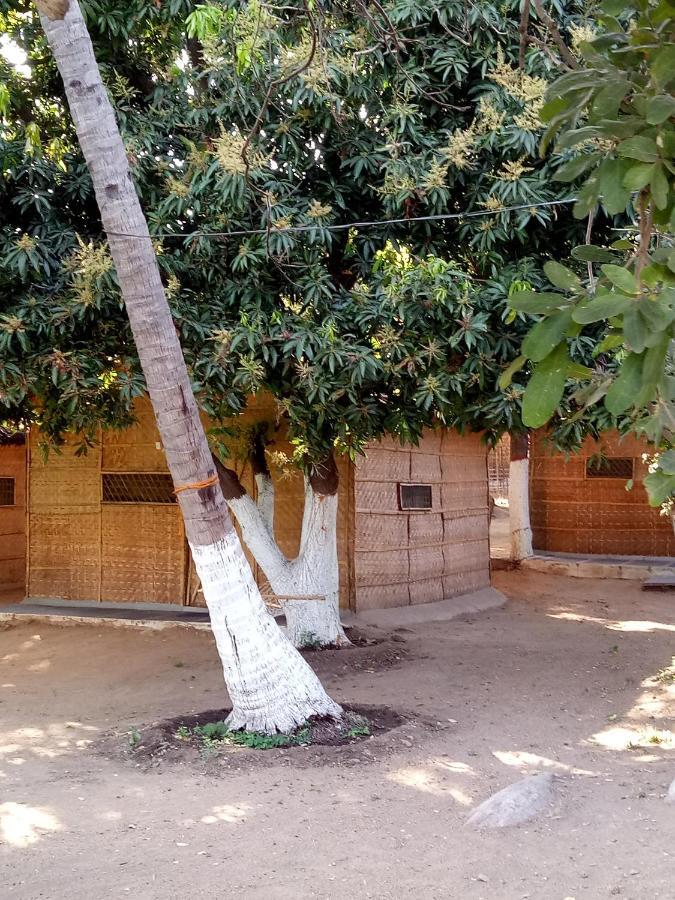Sunrise Guest House & Restaurant Hampi Εξωτερικό φωτογραφία