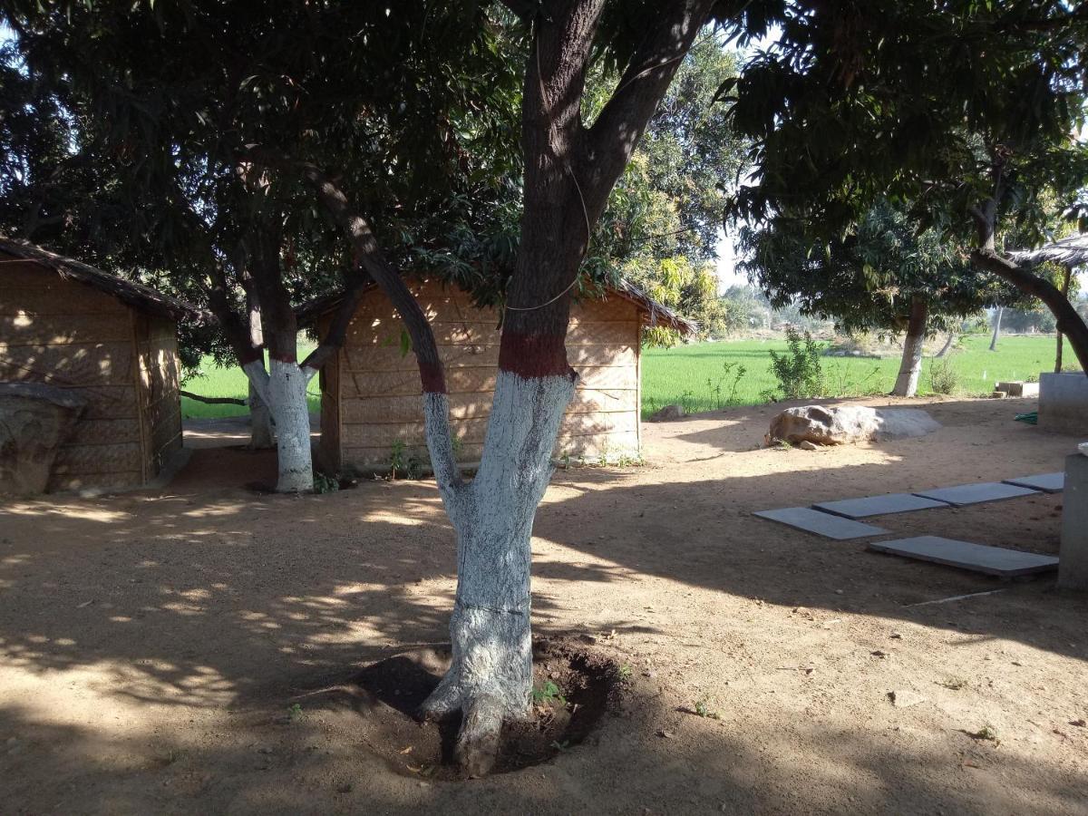 Sunrise Guest House & Restaurant Hampi Εξωτερικό φωτογραφία